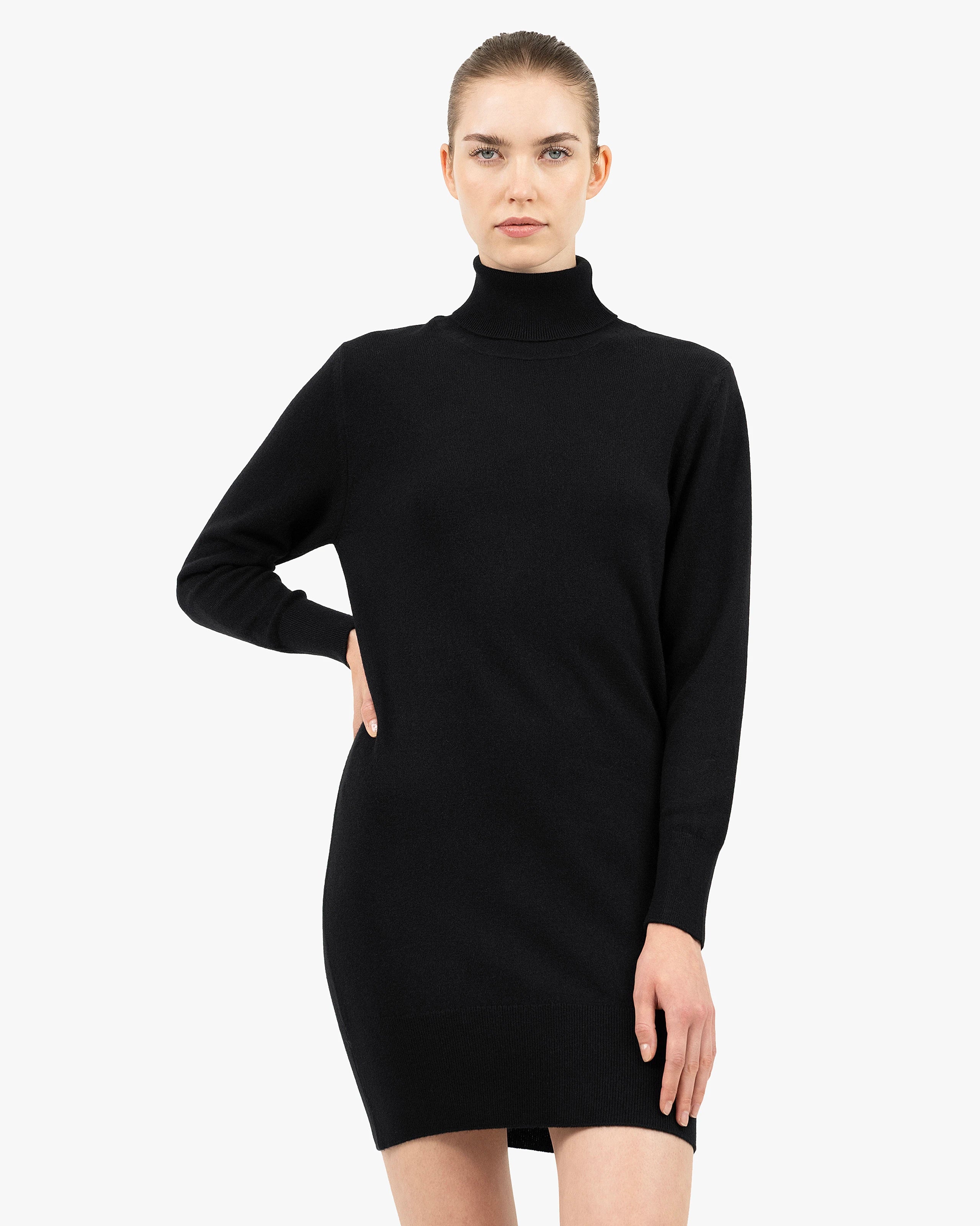 Florenz Turtleneck Dress - Black Cashmere