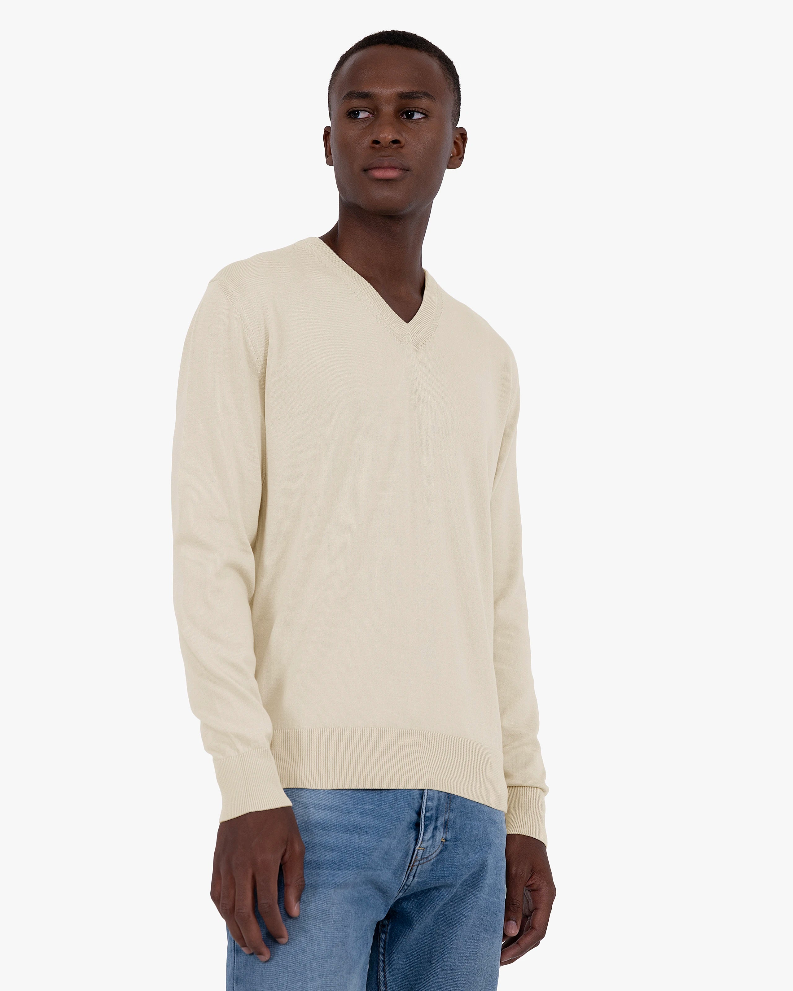 トップス 6 COTTON JACQUARD V NECK 5SLEEVE SHIRT Men's Giza Cotton V-Neck Sweater - Beige | MaisonCashmere