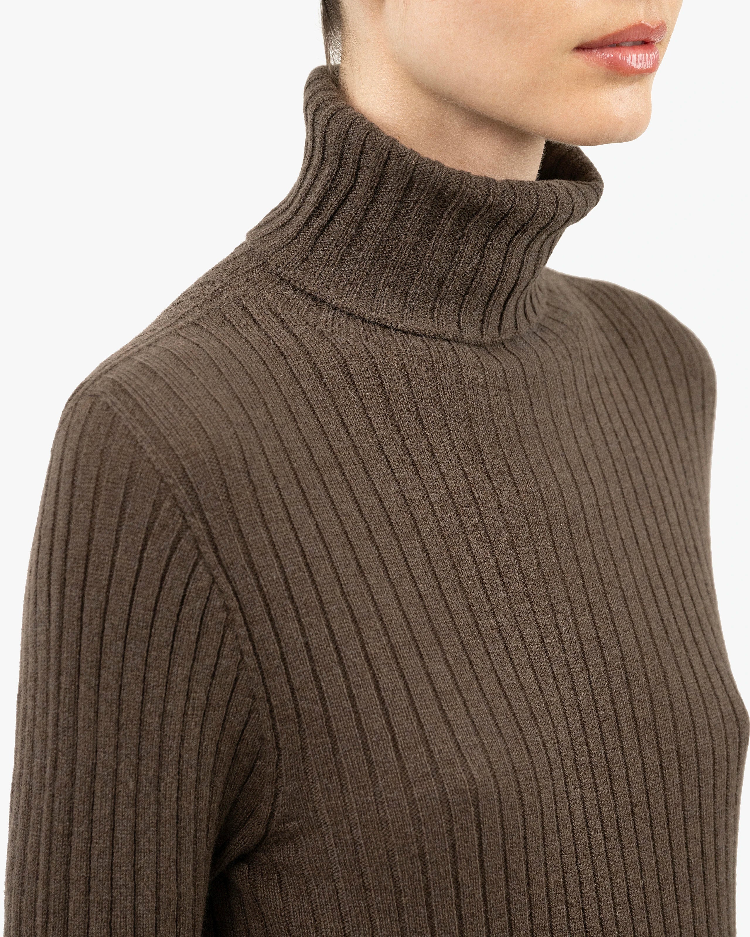 Women's Brera Turtleneck Sweater - Brown Cashmere