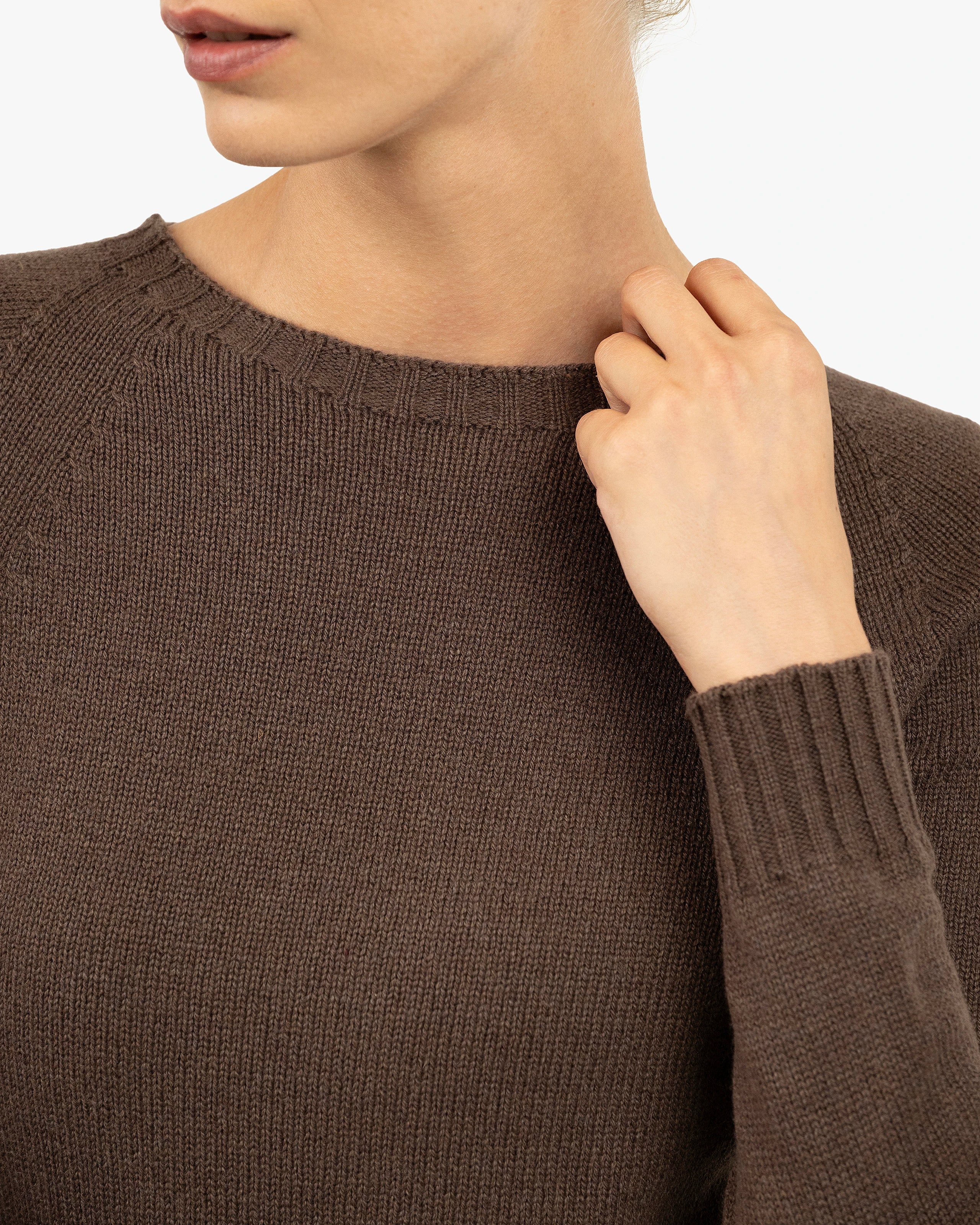 Women's Parksville Crew Neck Sweater - Brown Cashmere