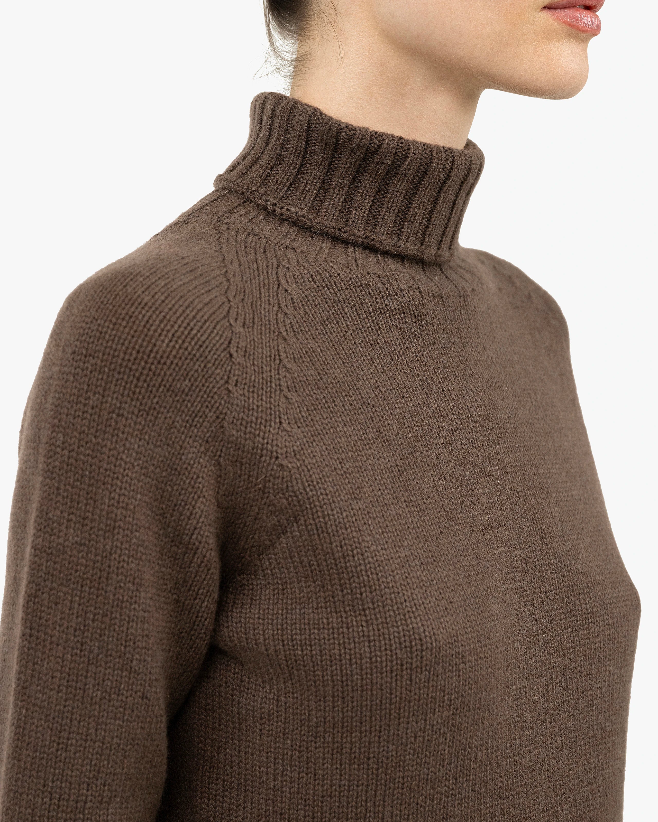 Women's Parksville Turtleneck Sweater - Brown Cashmere